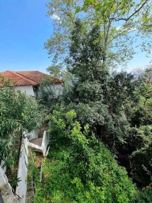 Kapsala'S Family Home Agios Ioannis  Exteriér fotografie